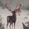 forest deer